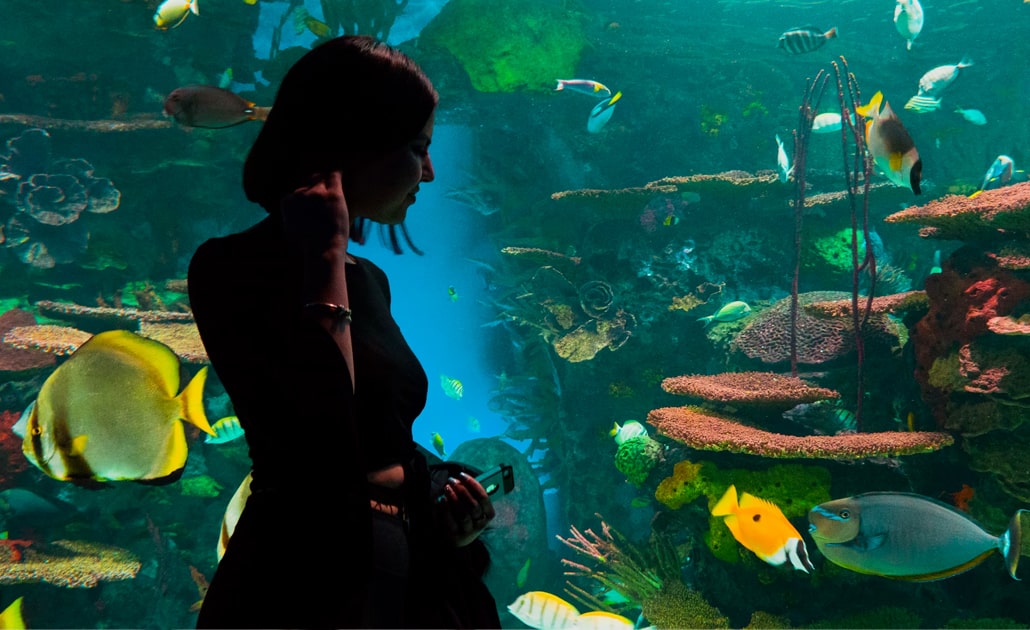 Ripley's Aquarium - How to Spend 3 Days in Toronto