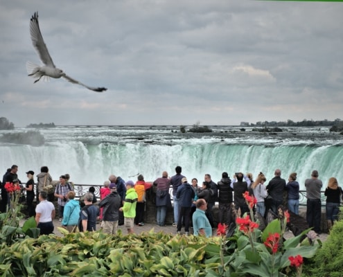 How to get to Niagara Falls From Toronto by Bus, Go Train, Uber or Tour